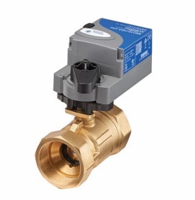 阀门 | Johnson Controls | Johnson Controls